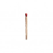 Обложка Rammstein Rammstein 2019