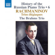 History of the Russian Piano Trio • 6