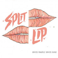 Split Lip