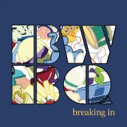 Breaking In