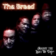 Against the Light of Day