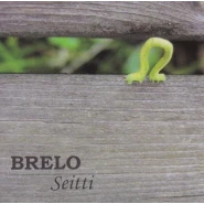 Seitti