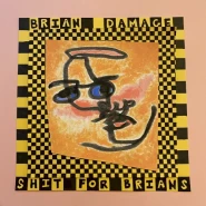 Shit For Brians