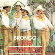 Súper bronco