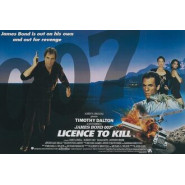 Licence to Kill