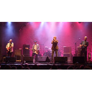 The Blues Band