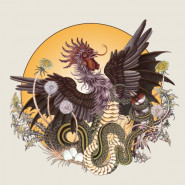 Rooster