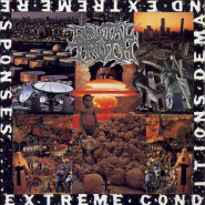 Extreme Conditions Demand Extreme Responses