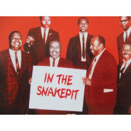 In the Snakepit