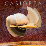 Casiopea