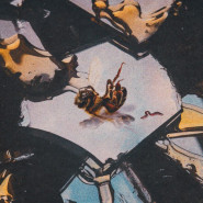 Honey Rot