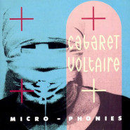 Micro‐Phonies