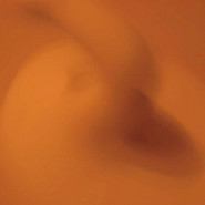 Vivipary