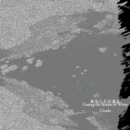 凝視白色的邊界 Gazing the Shades of White