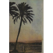 The Palm Leaves of Victory