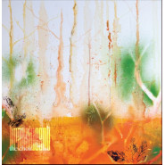 Translucent