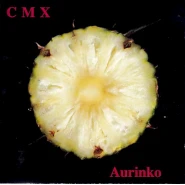 Aurinko