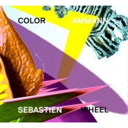 Color Wheel