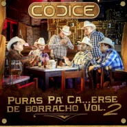 Puras pa' ca...erse de borracho, vol. 2