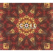 Stolen & Contaminated Songs