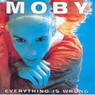 Everything Is Wrong