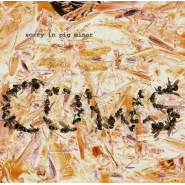 Sorry in Pig Minor