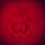 Rose Coyote