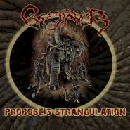 Proboscis Strangulation