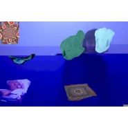 Why Am I Underwater?