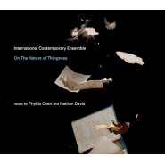 On The Nature Of Thingness
