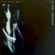 Into Dark Water