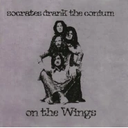 On the Wings