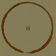 III