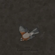 A Season of Sorrow