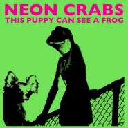 This Puppy Can See a Frog