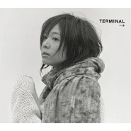 Terminal