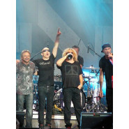 Chickenfoot