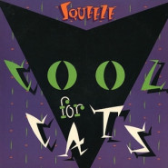 Cool for Cats