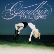 Goodbye (If You Call That Gone)
