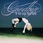 Goodbye (If You Call That Gone)