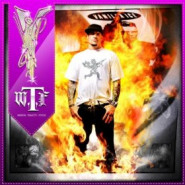 W.T.F. (Wisdom, Tenacity and Focus)