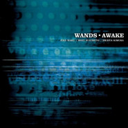 Awake