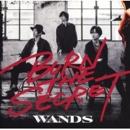 Burn the Secret