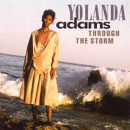 Through the Storm