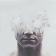 The Awakening