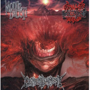 Modus Delicti / Clitoridus Invaginatus / Dismemberment