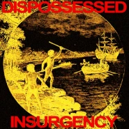 Insurgency