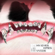 My Eyes Open VVide