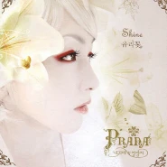 Shine