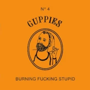 Burning Fucking Stupid